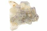 Purple Edge Fluorite Crystal Cluster - Qinglong Mine, China #205483-1